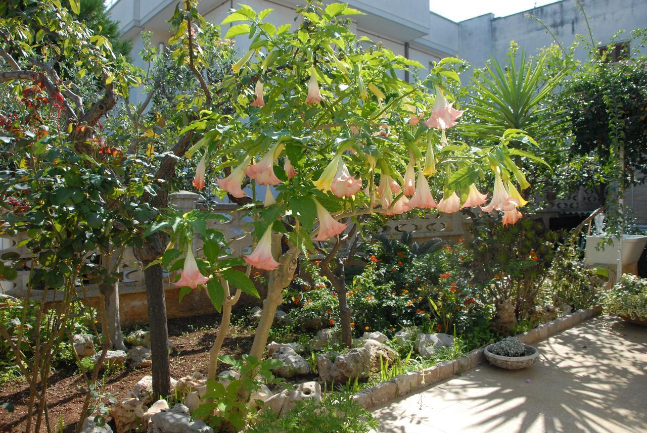 Villa Palma Pezze Di Greco Bagian luar foto